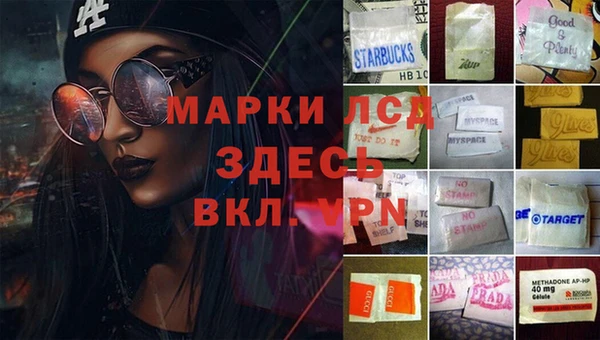 шишки Бугульма